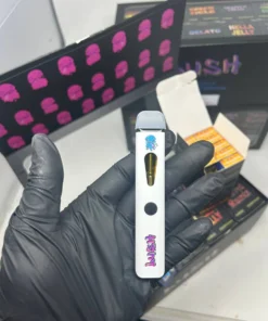 Lush 2G Disposable available for sale in stock at affordable prices buy Lush 2G Disposable in bulk at best discount prices