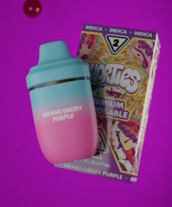 Shorties Grand Daddy Purple available for sale in stock at affordable prices buy Shorties Grand Daddy Purple in bulk at best discount prices